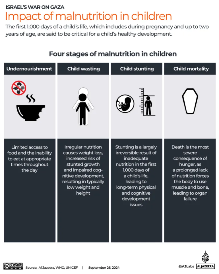 Mi az éhínség, és miért fenyegeti Gázát, hogy hamarosan eléri? 9 Interactive Gaza foodprices 2 02 1727339608
