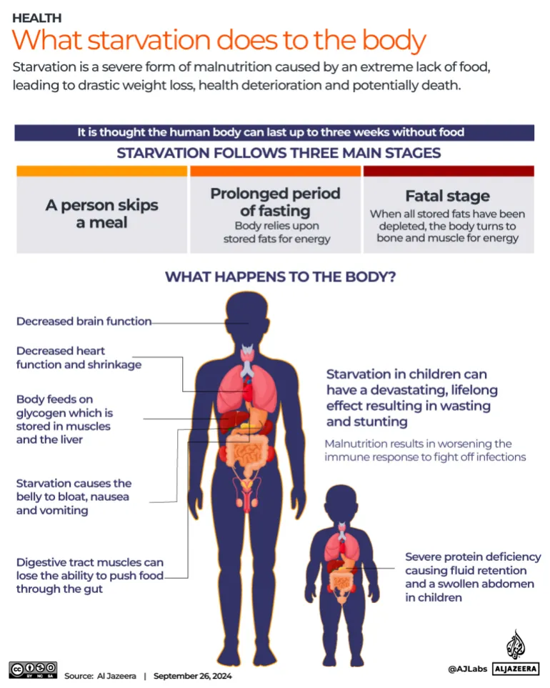 Mi az éhínség, és miért fenyegeti Gázát, hogy hamarosan eléri? 7 Interactive Gaza foodprices 2 03 1727339442 1