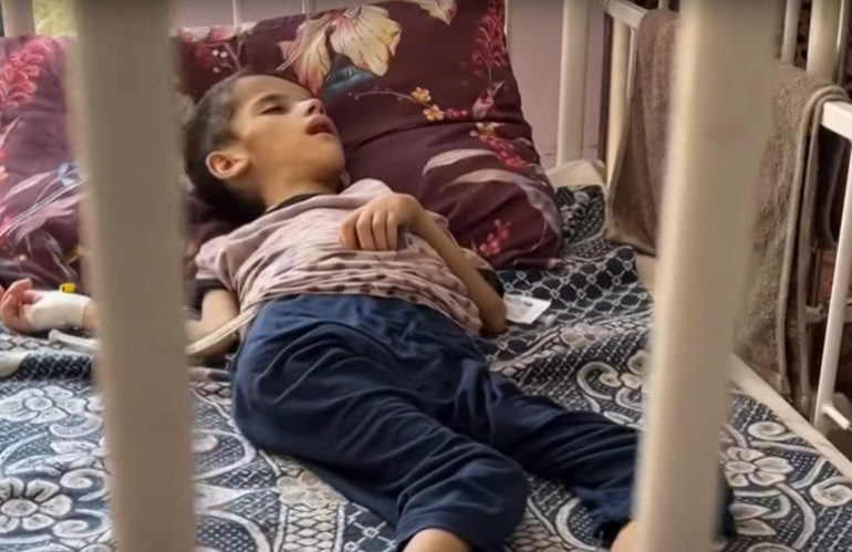 Az anyák és az újszülöttek vannak a legnagyobb veszélyben az izraeli eredetű alultápláltság miatt Gázában 5 Screenshot 2025 08 31 at 1.18.08 PM 1756635658