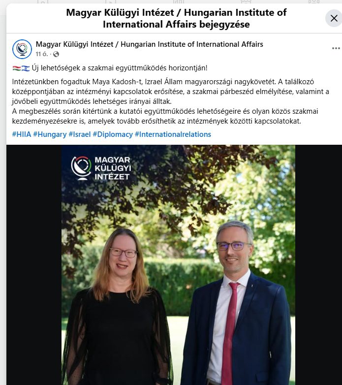 Véleménycikk: Magyar Külügyi Intézet :Új lehetőségek a szakmai együttműködés horizontján?