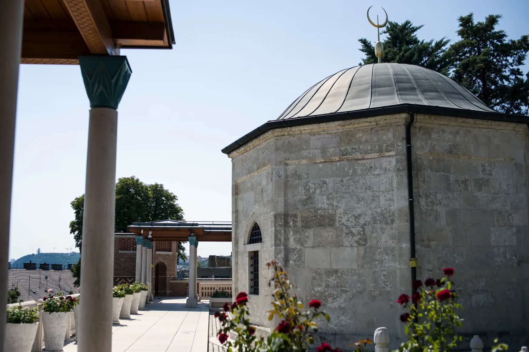 1730012175-temp-ONEMaA_cover