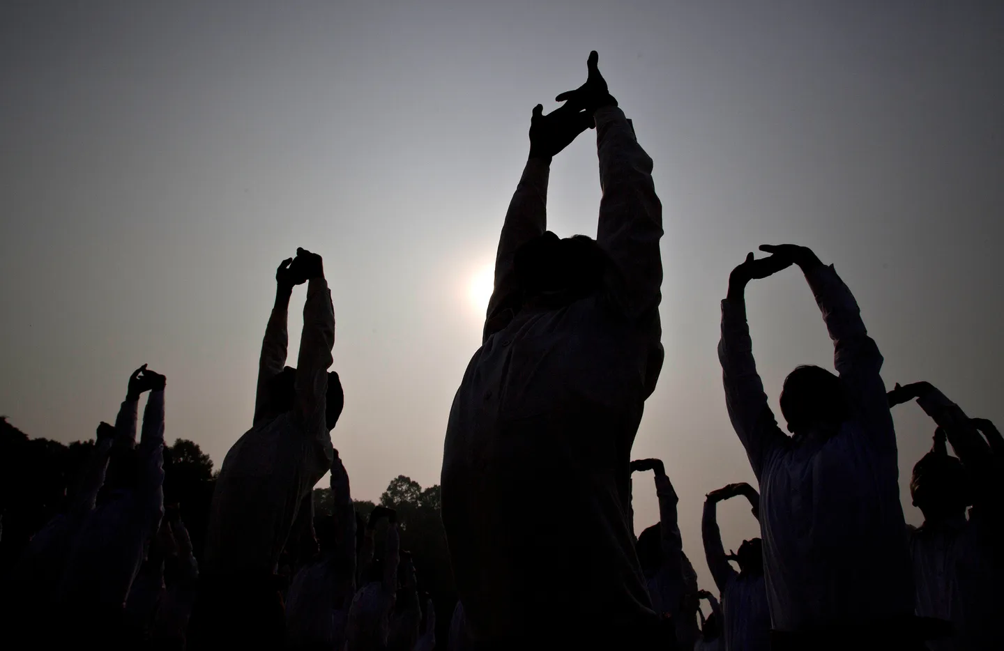 1748009635582-017ax-AP18021526228506