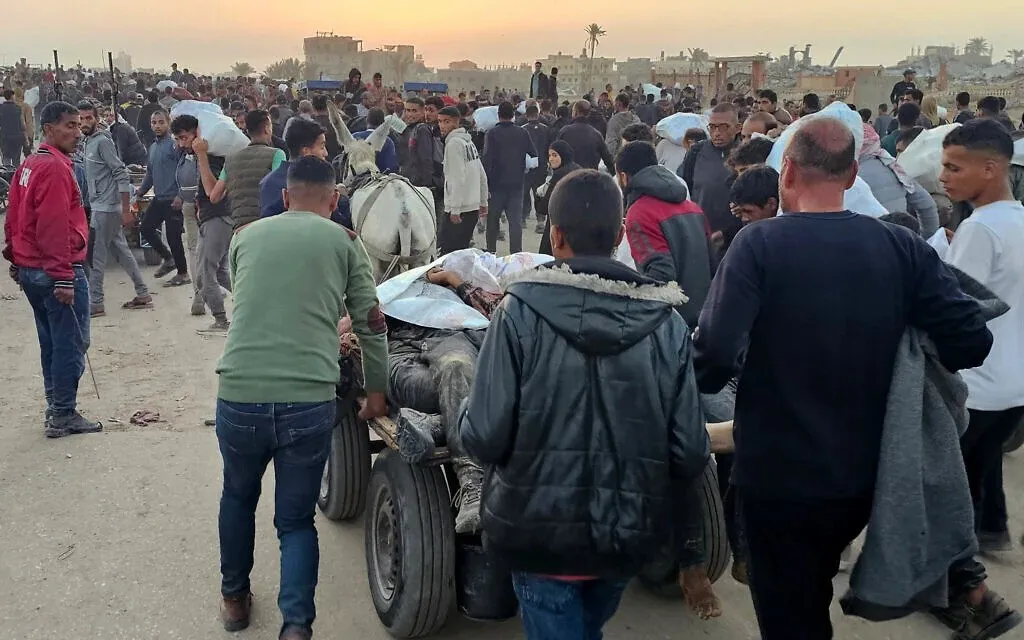 ezgif-10d9d4e6830d70