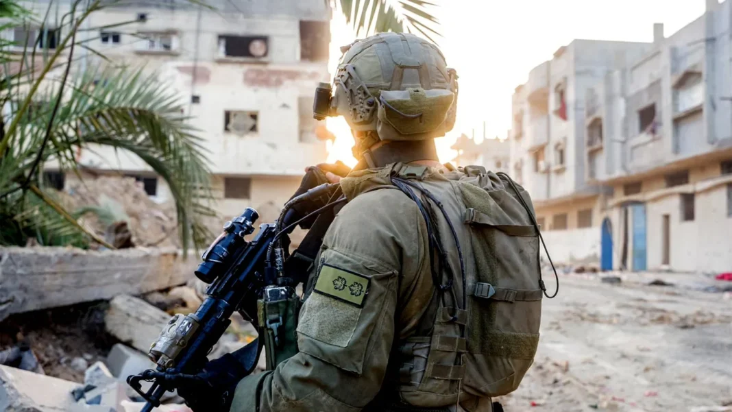 000_36497UB (1)_0.jpg