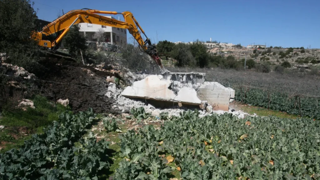 Miért pusztítják el az izraeli telepesek a palesztin olajbogyó-termést? 7 israel bulldozer well west bank palestine march 2011 afp.jpg