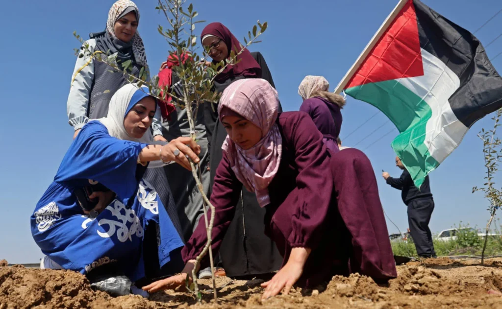 Miért pusztítják el az izraeli telepesek a palesztin olajbogyó-termést? 5 palestine gaza olive plant land day march 2023 afp.jpg