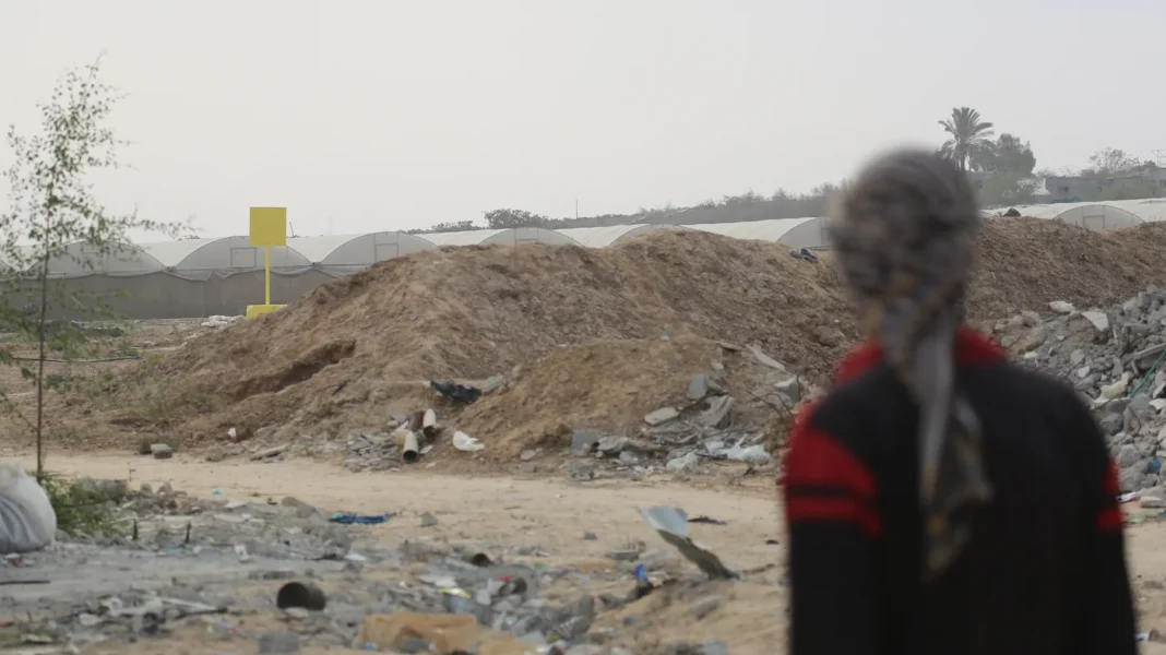 „Gyorsírás”: A BBC Gázában készült riportja újra felkorbácsolta a népirtásról szóló tudósításokkal kapcsolatos kritikákat